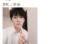 娱乐圈吃瓜评论,揭秘明星背后的故事与真相